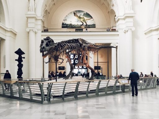 museum info tips 41