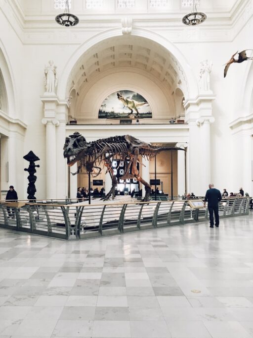 museum info tips 41