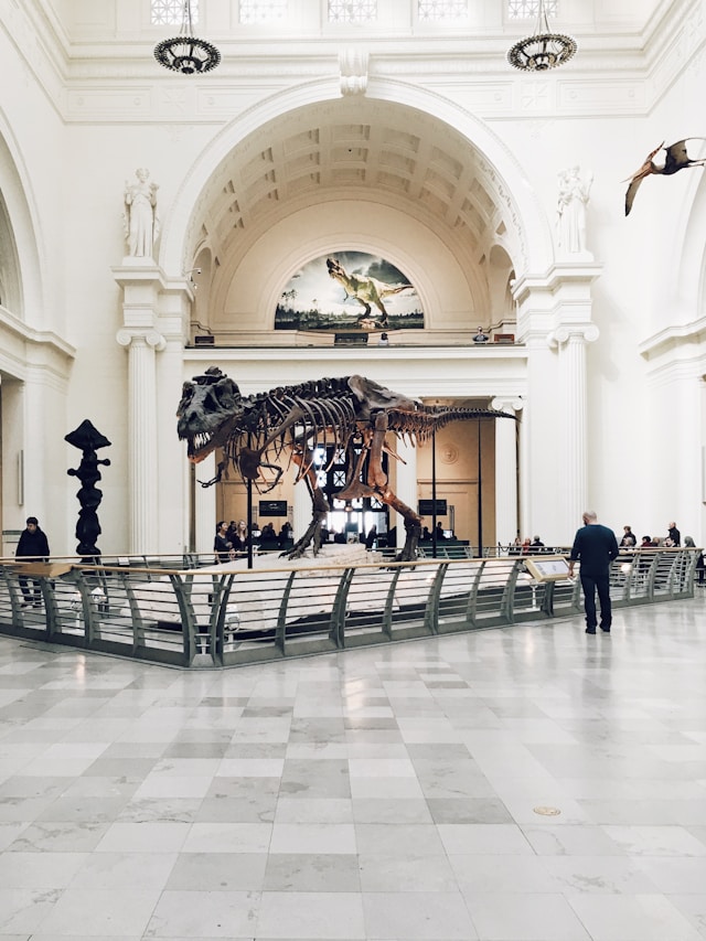 museum info tips 41