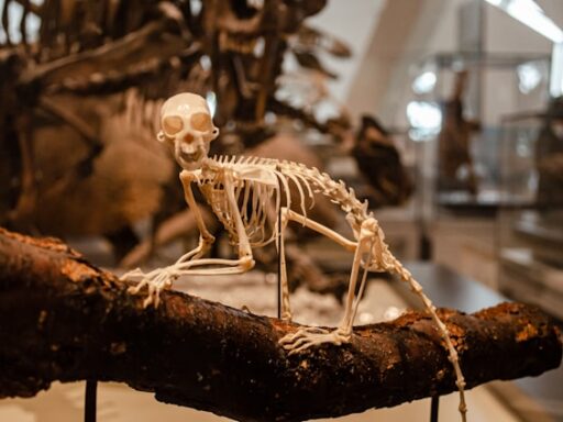 museum info tips 5