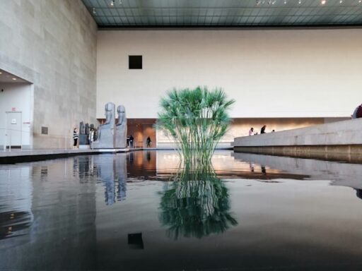 museum info tips 63