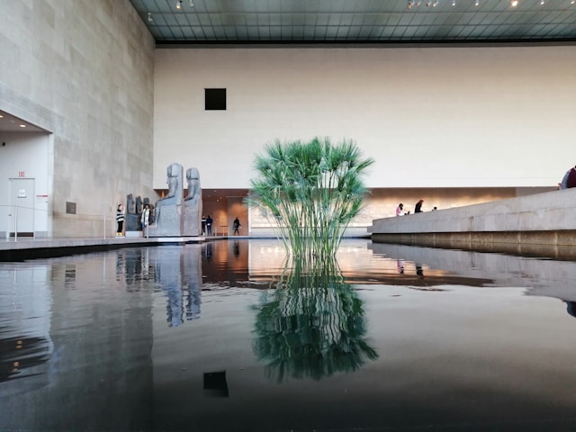 museum info tips 63